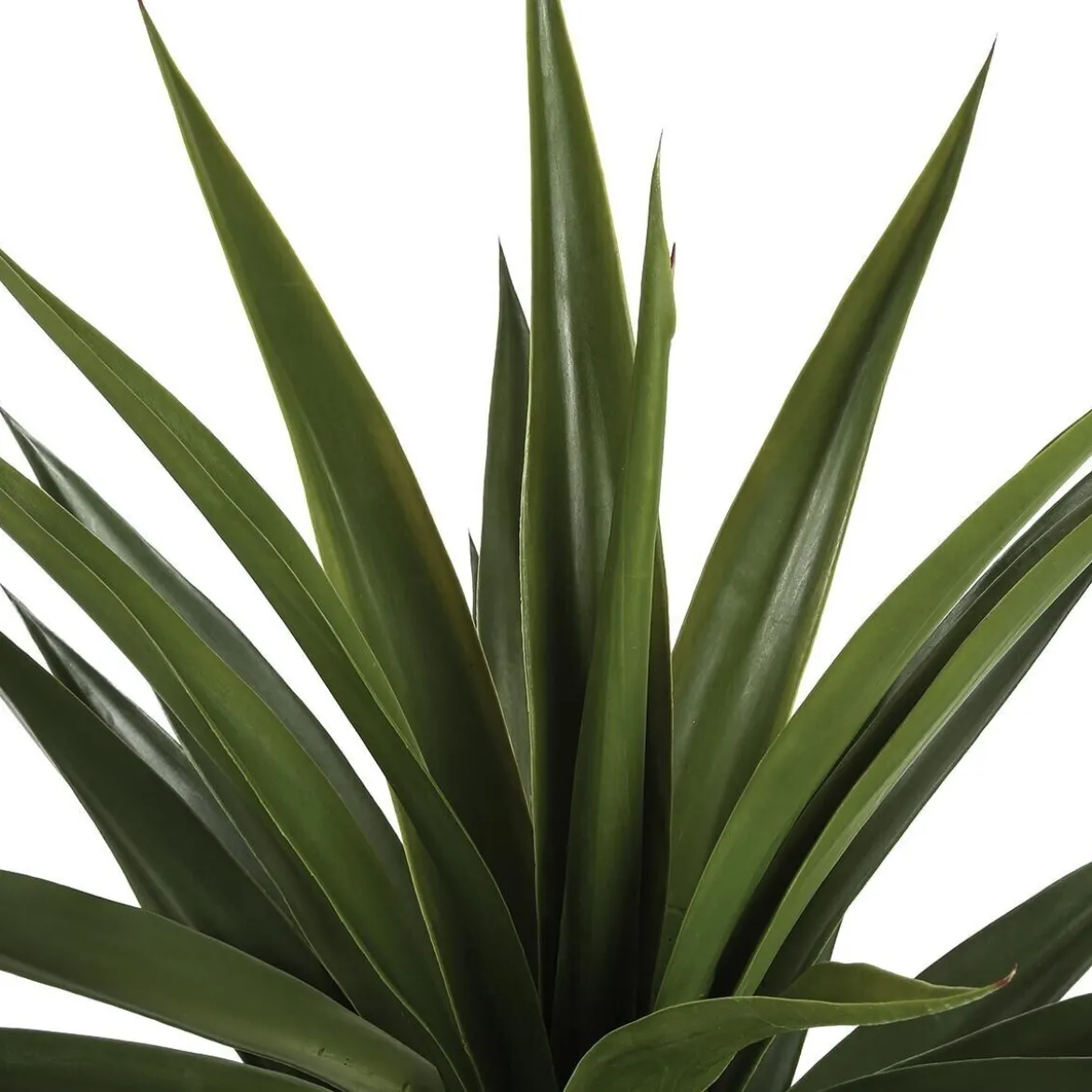 Agave artificielle géante