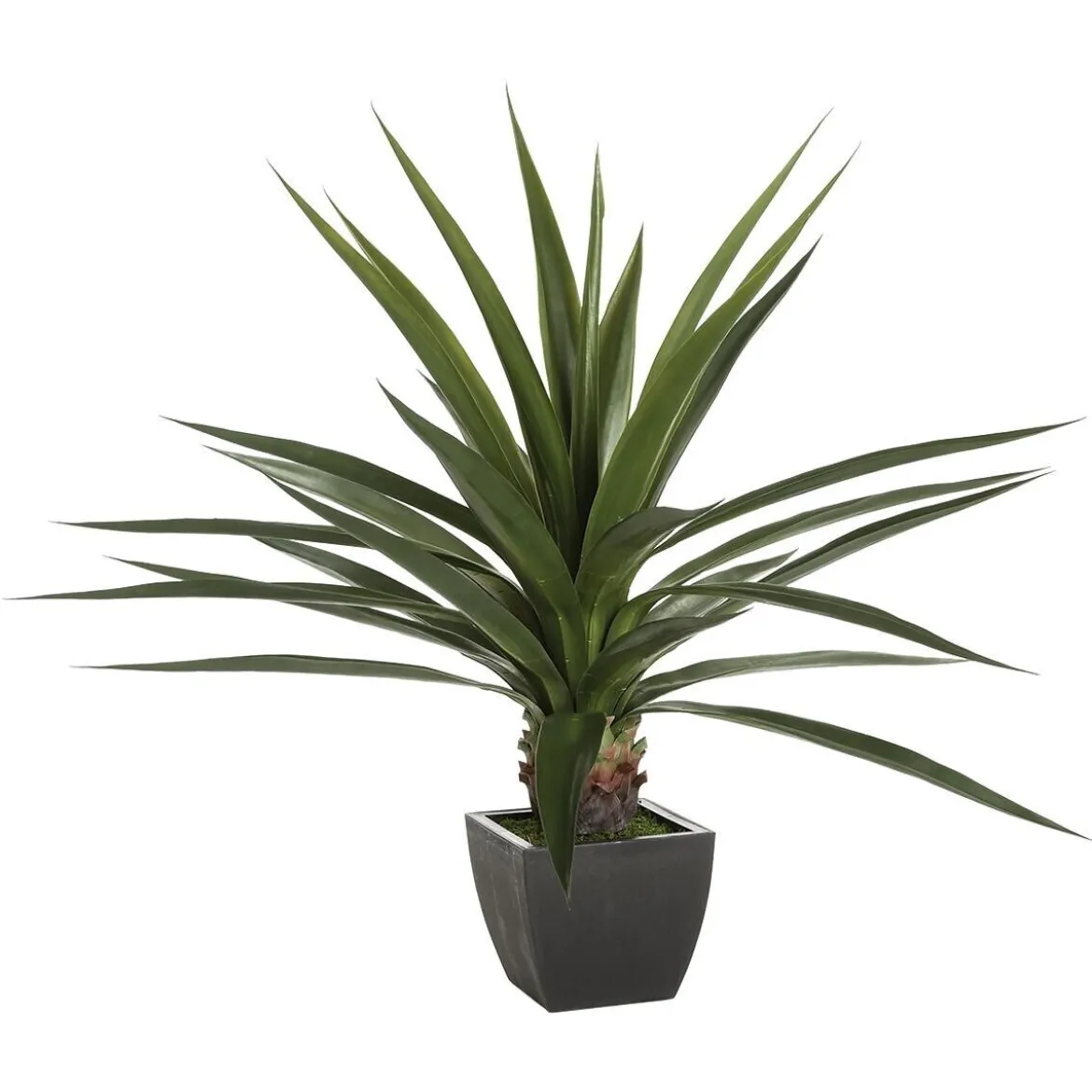 Agave artificielle géante