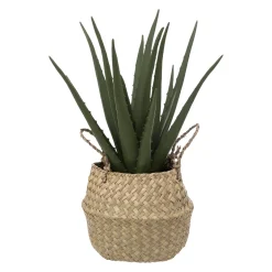 Aloe vera artificiel