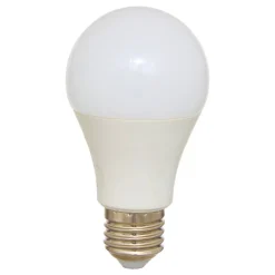 Ampoule 