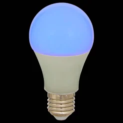 Ampoule 