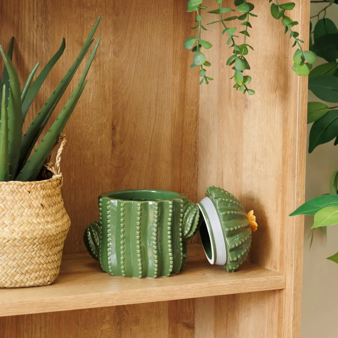 Boîte déco "Yuca"