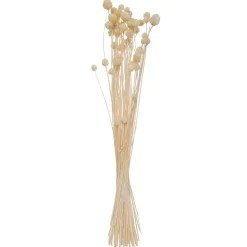 Bouquet de plantes séchées