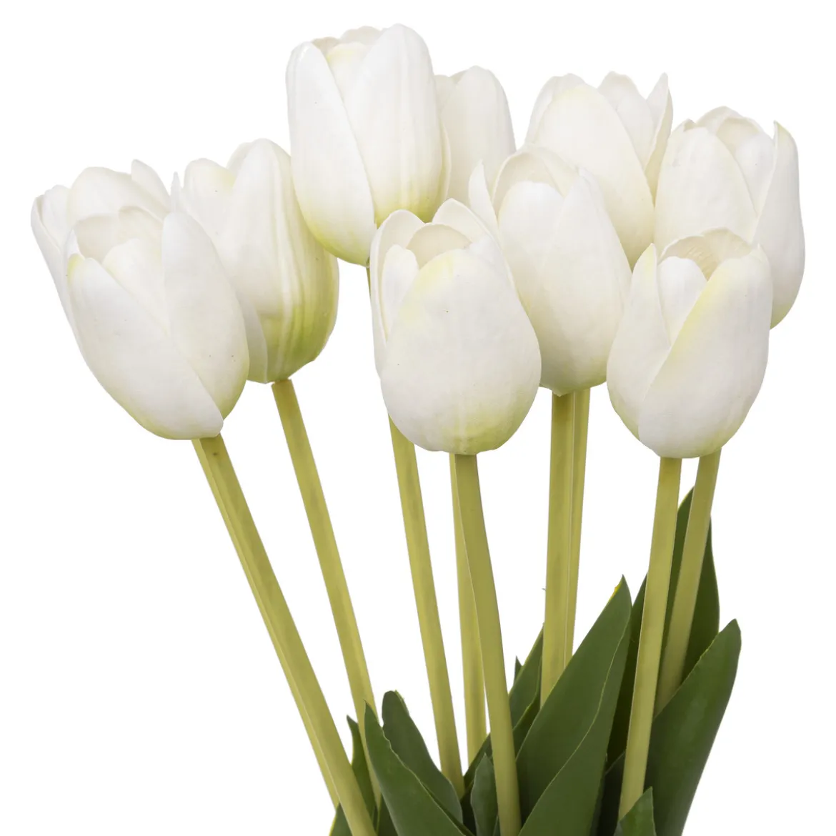 Bouquet de tulipes