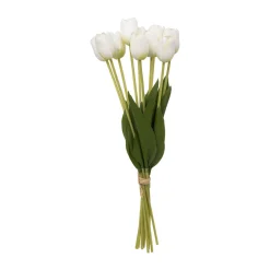 Bouquet de tulipes