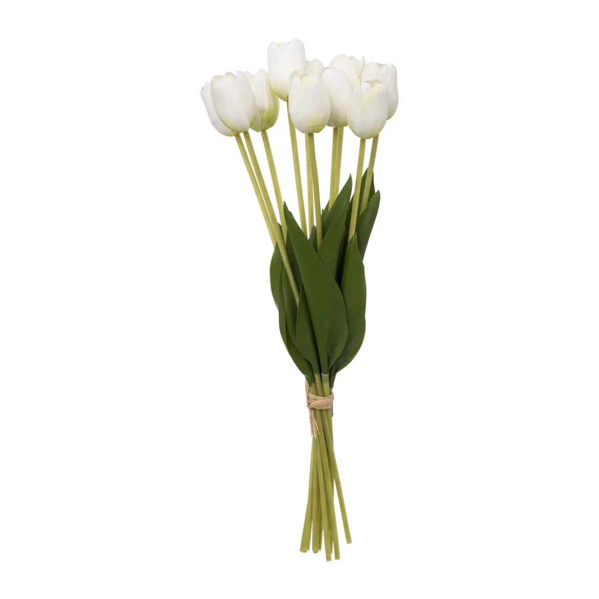 Bouquet de tulipes