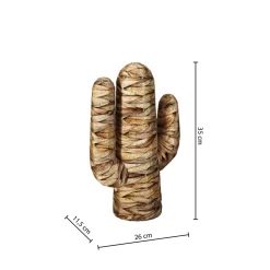 Cactus "Haci"