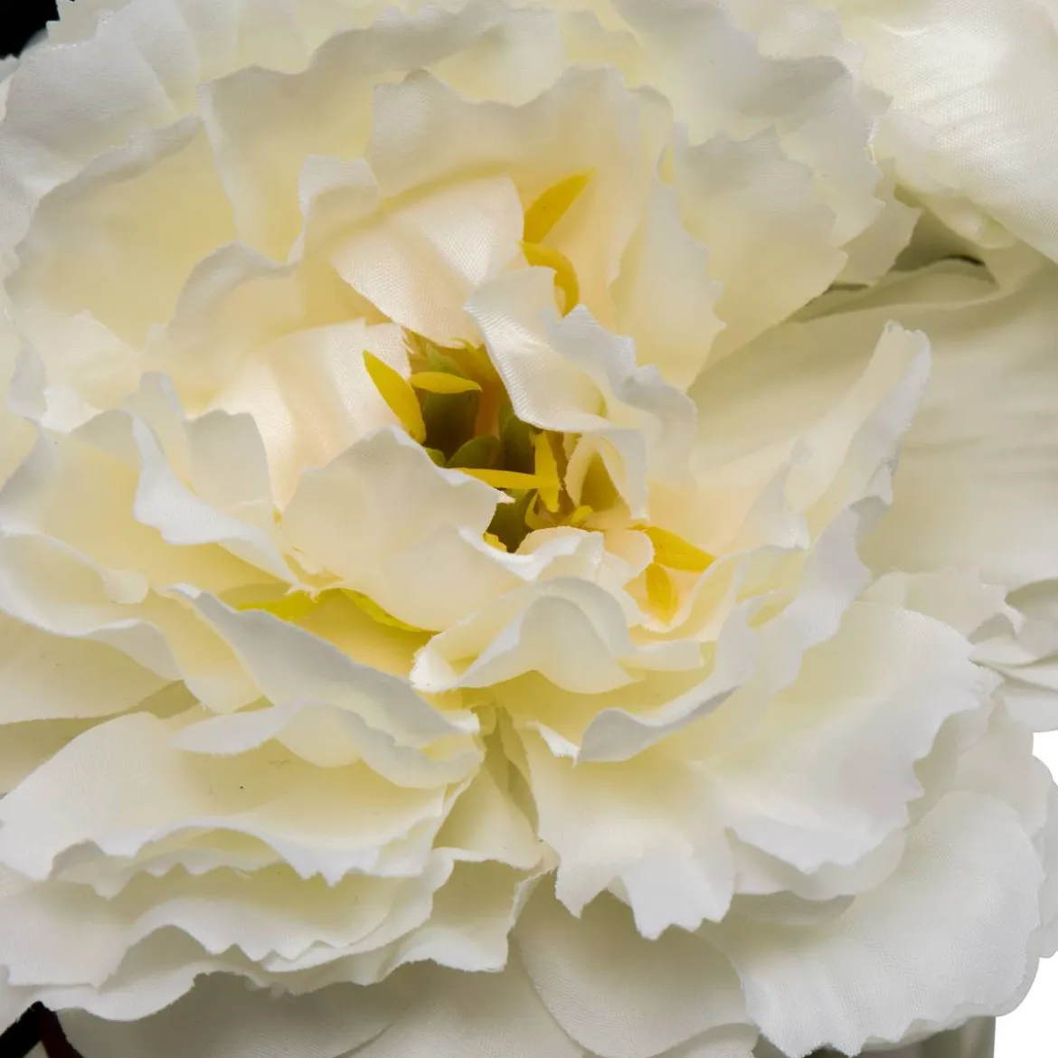 Composition florale "Fleur de rose"