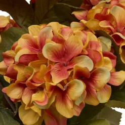 Composition florale "Fria"