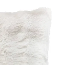 Coussin