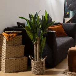 Dracena artificielle 