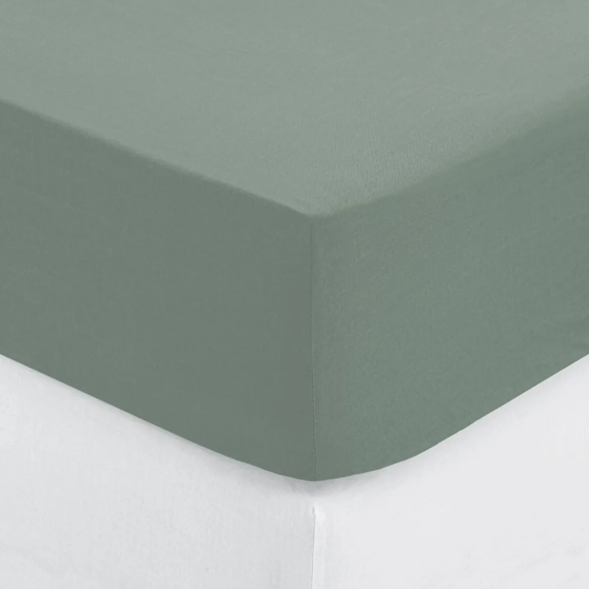 Drap-housse, coton