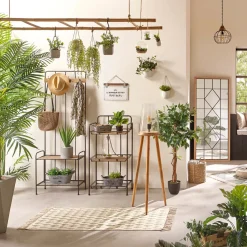 Ficus artificiel