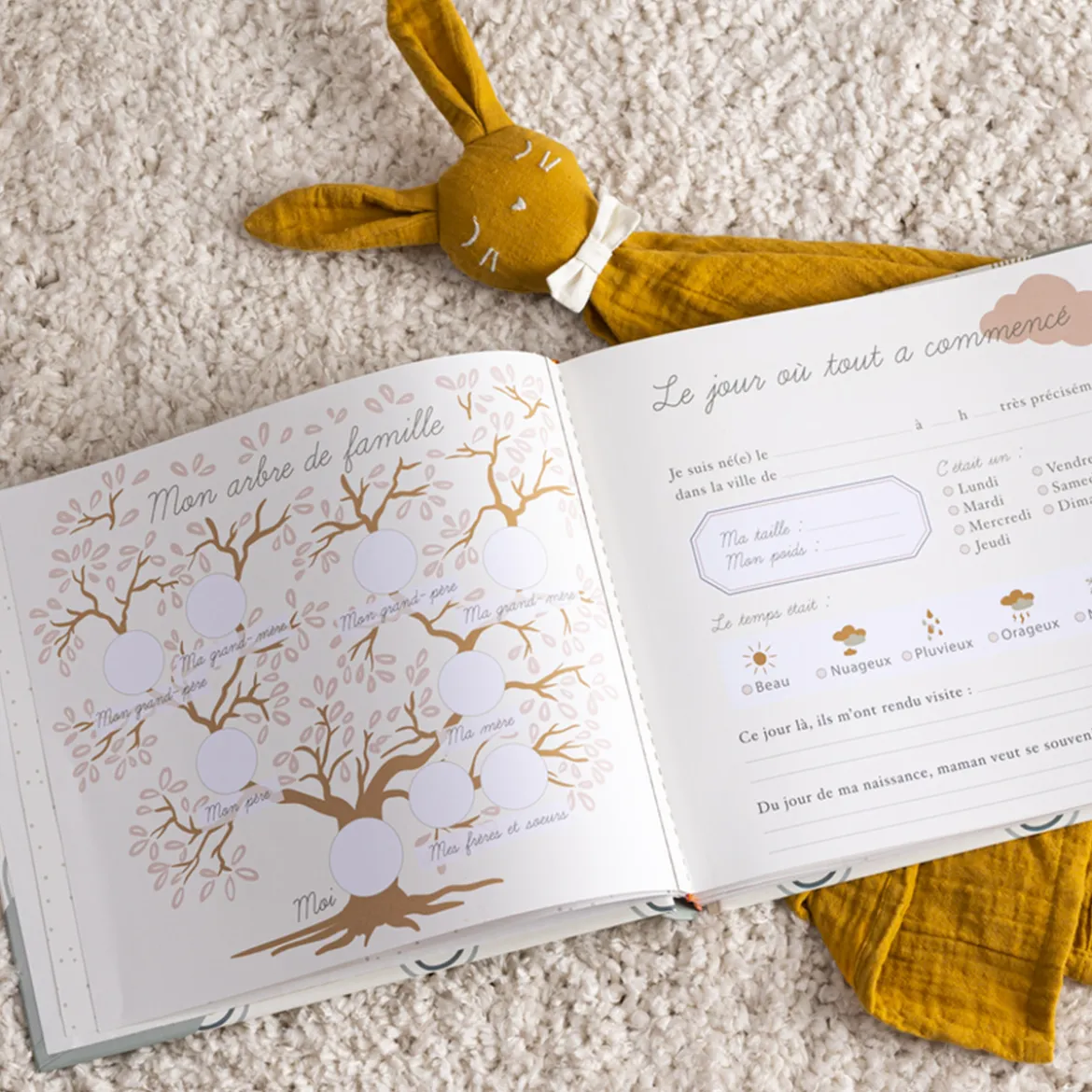 Livre de naissance bébé