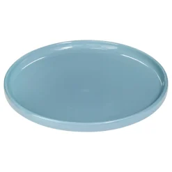 Lot de 6 assiettes plates  