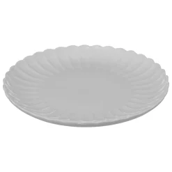 Lot de 6 assiettes plates 