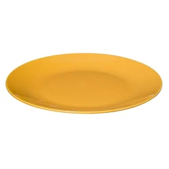 Lot de 6 assiettes plates 