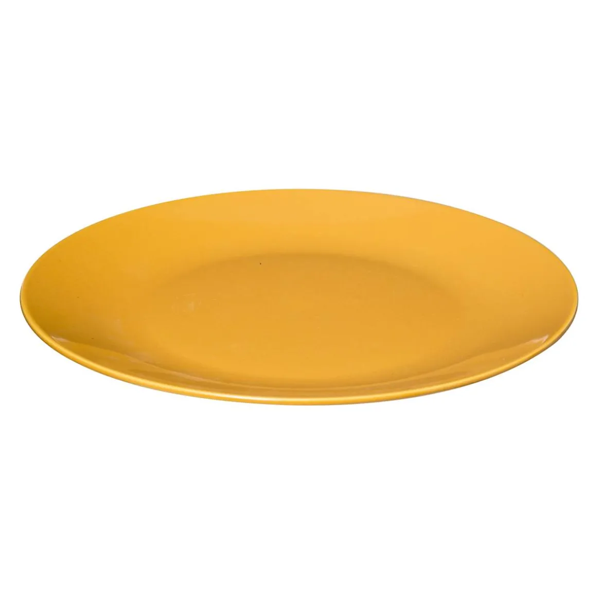 Lot de 6 assiettes plates "Colorama"