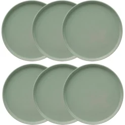 Lot de 6 assiettes plates 