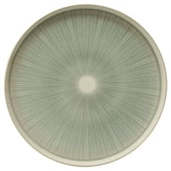 Lot de 4 assiettes plates 