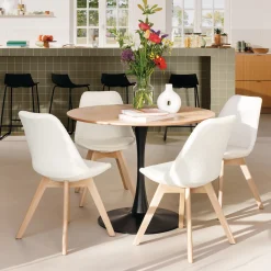 Lot de 2 chaises