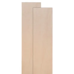 Lot de 2 panneaux muraux décoratifs 