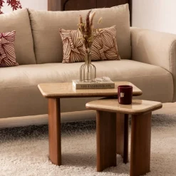 Lot de 2 tables basses 