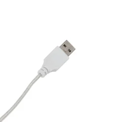 Néon LED