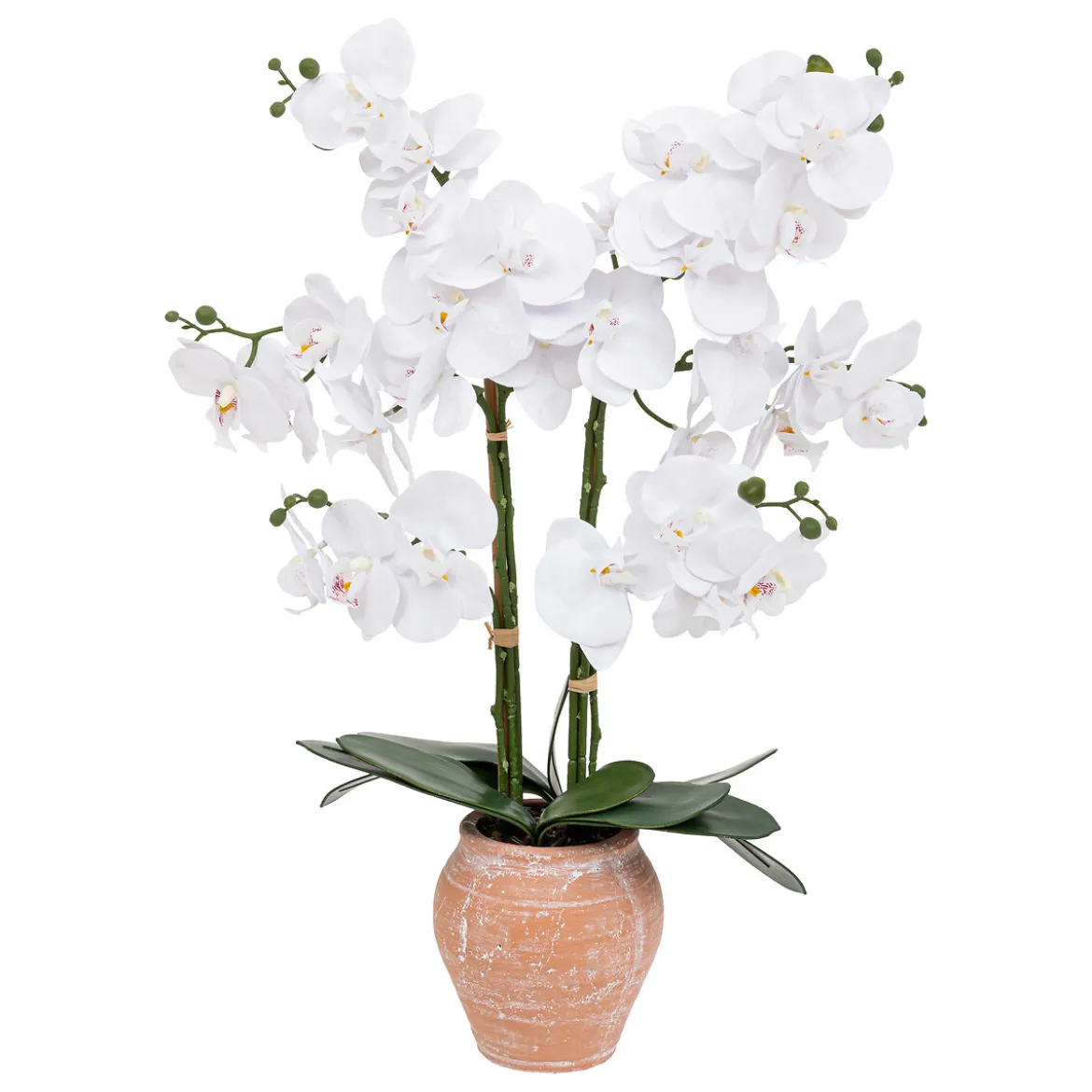 Orchidée artificielle "Dena"