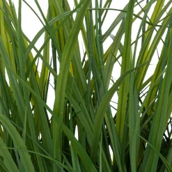 Plante artificielle