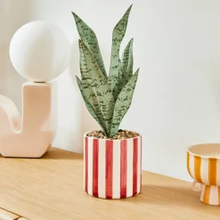 Plante artificielle en pot "Cheri"