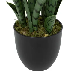Plante artificielle sansevieria "Toby"