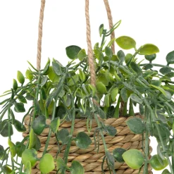 Plante artificielle suspendue