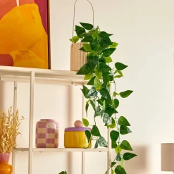 Plante artificielle suspendu(e) "Pool"