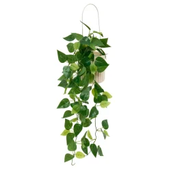 Plante artificielle suspendu(e) 