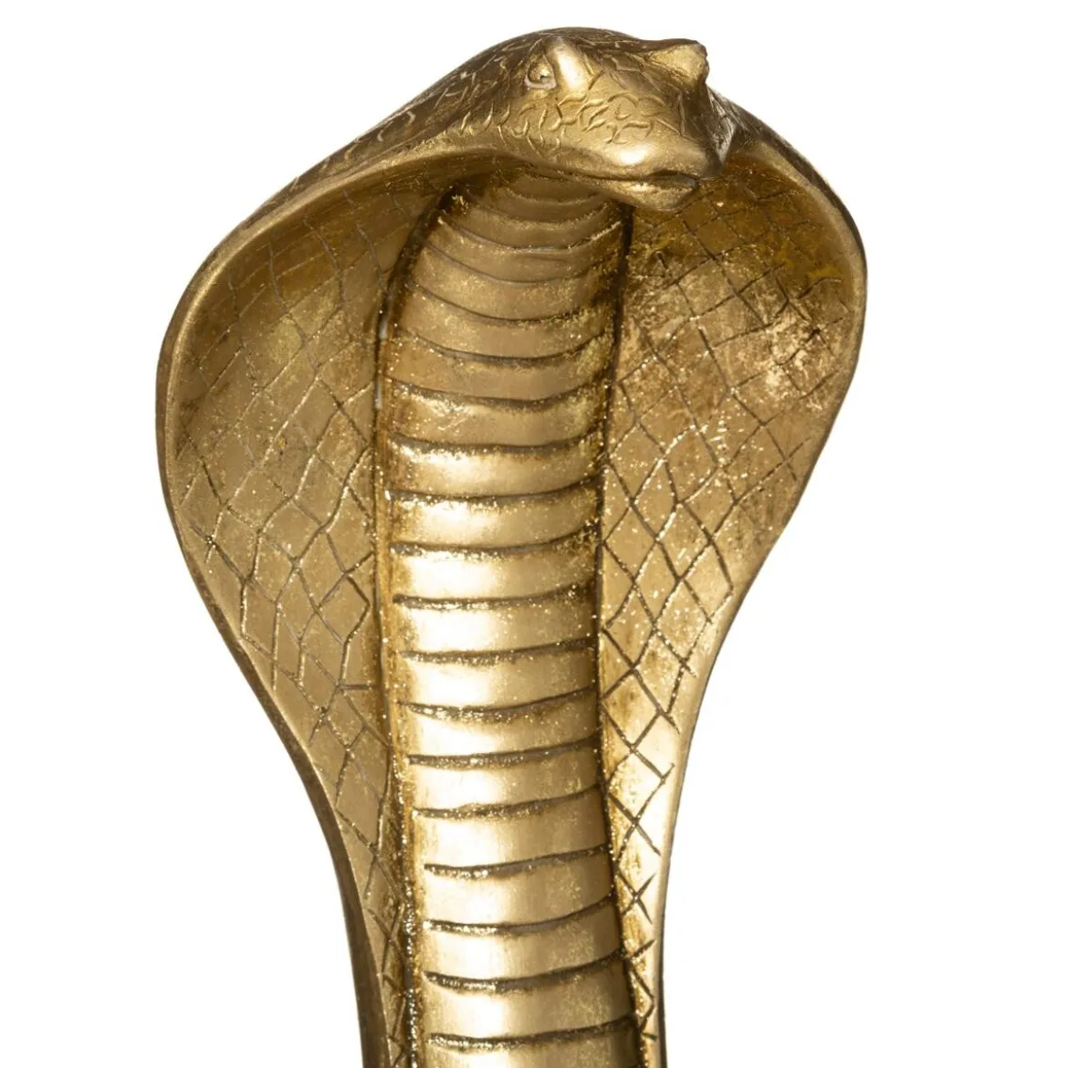 Serpent cobra