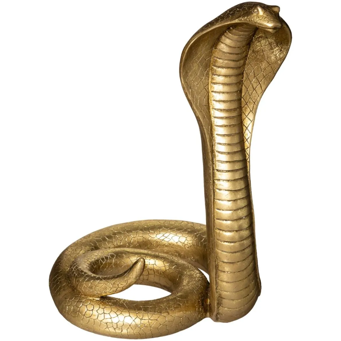 Serpent cobra