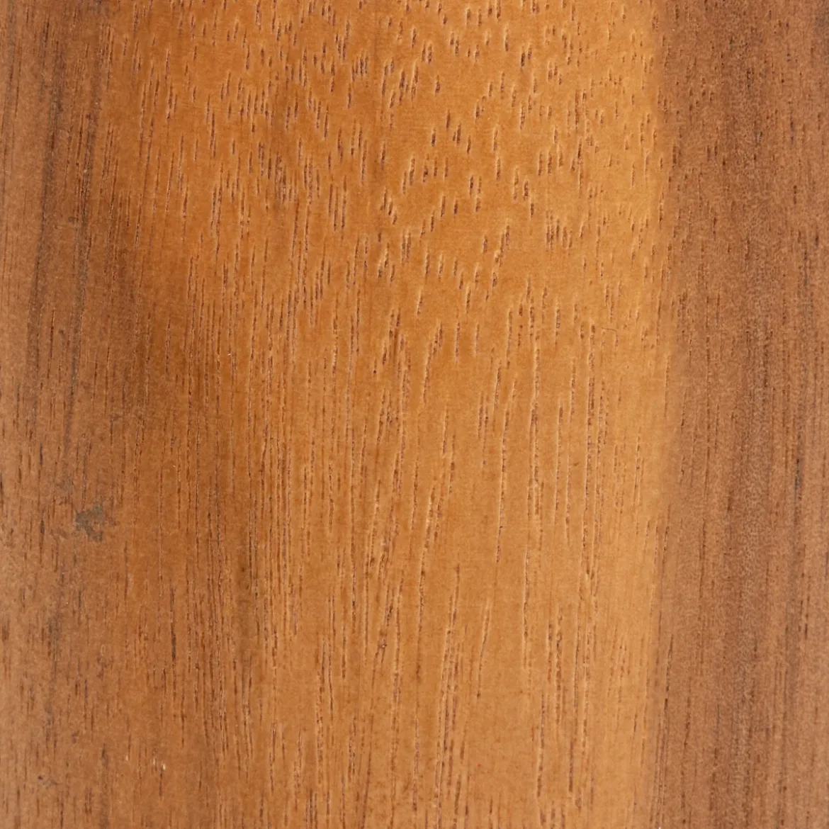 Soliflore "Siera"