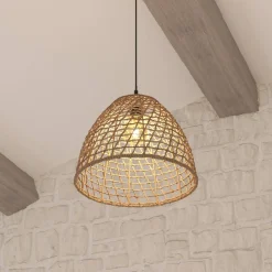 Suspension 