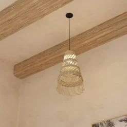Suspension 