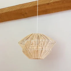 Suspension 