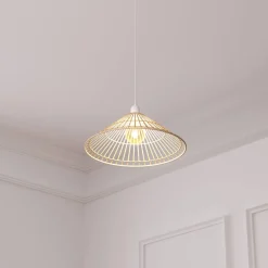 Suspension 