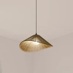 Suspension 