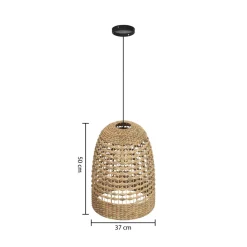 Suspension 