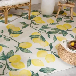 Tapis extérieur 