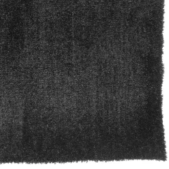 Tapis