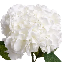 Tige d'hortensia artificiel