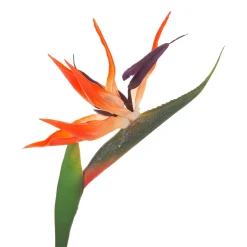 Tige d'oiseau du paradis artificielle