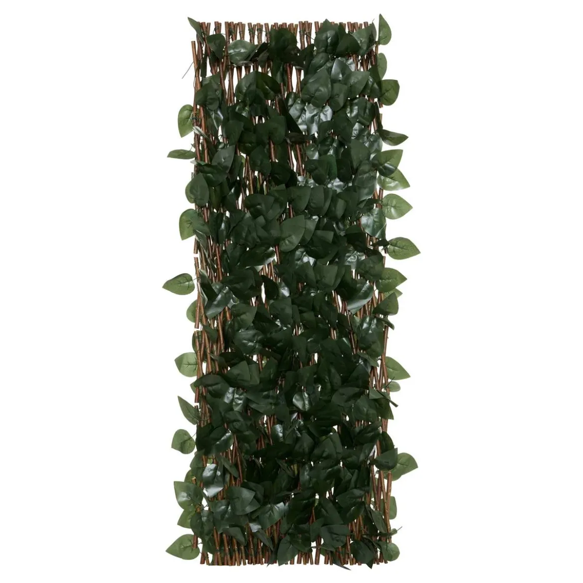 Trellis "Nao"