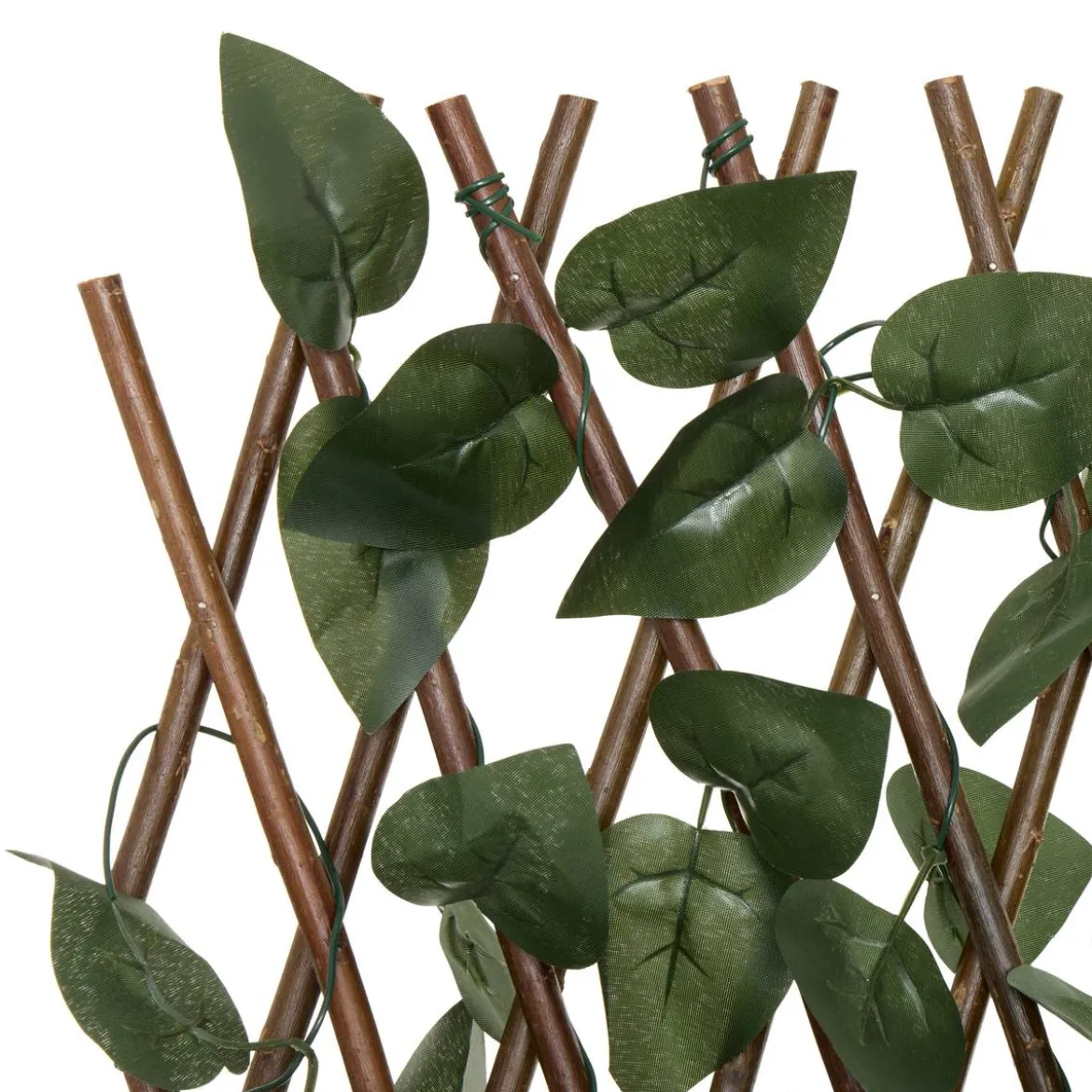 Trellis "Nao"